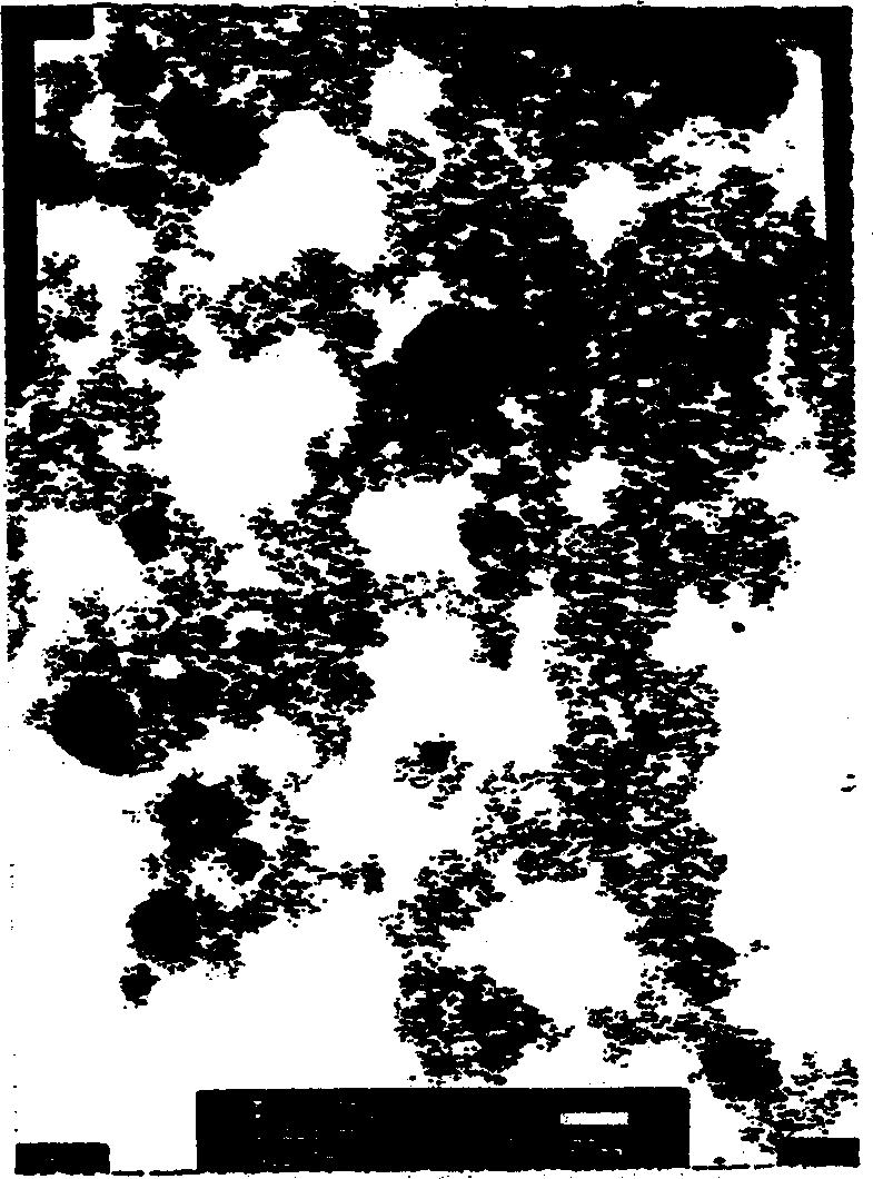 Method for preparing nano titanium dioxide photocatalyst and its product