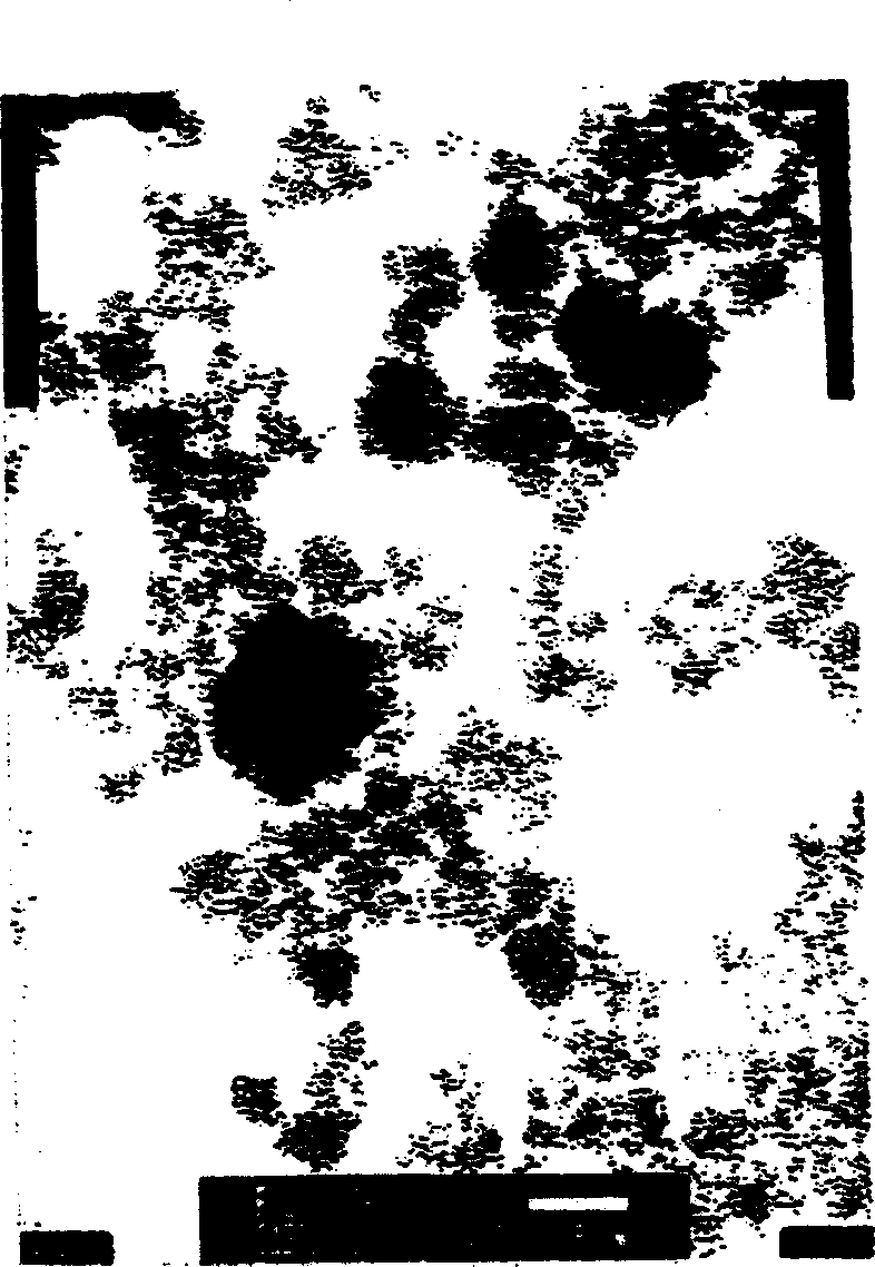 Method for preparing nano titanium dioxide photocatalyst and its product