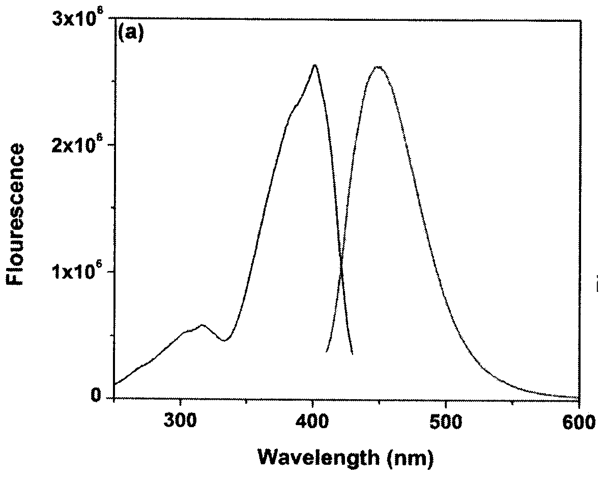 Benzothiazole compound and preparation method thereof, and application as probe for hypobromous acid