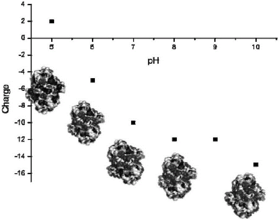 Immobilized sorbitol dehydrogenase as well as immobilization method and application of immobilized sorbitol dehydrogenase