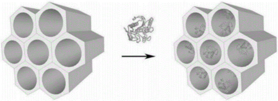 Immobilized sorbitol dehydrogenase as well as immobilization method and application of immobilized sorbitol dehydrogenase