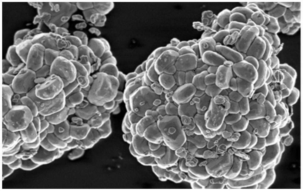 Preparation method and application of lithium ion battery positive electrode material