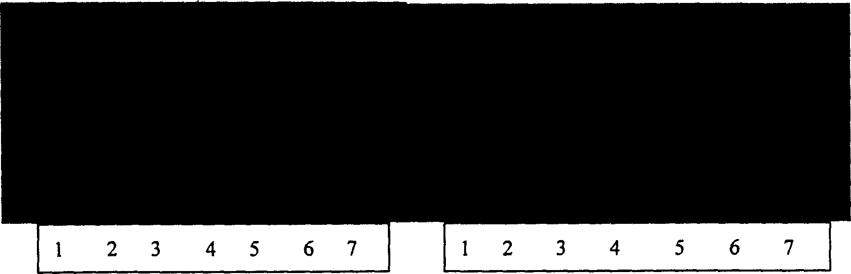 Method for obtaining chrysanthemum distance hydrid using goung embryo rescue