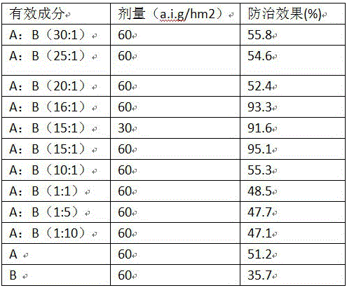 Insecticide composition containing cytisine