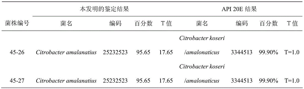 Rapid numerical identification method for enterobacteria of food-borne pathogenic bacteria