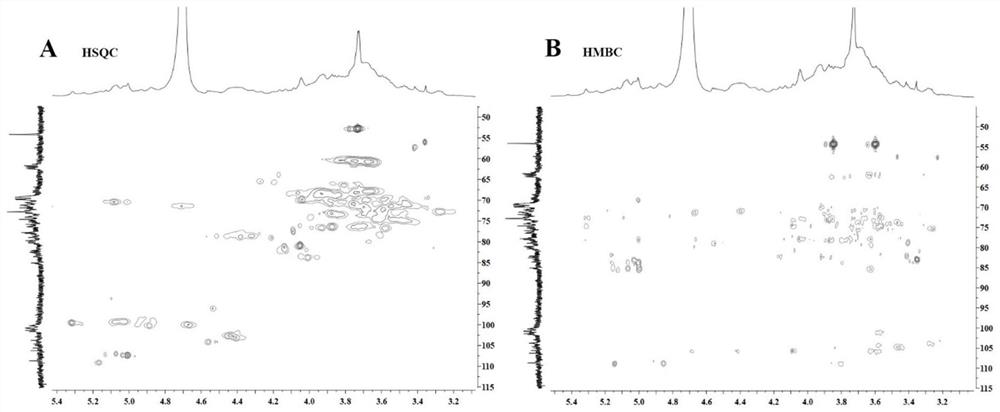 Rabdosia japonica polysaccharide as well as preparation method and application thereof