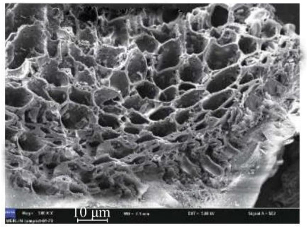 Biological humic acid fertilizer and preparation method thereof