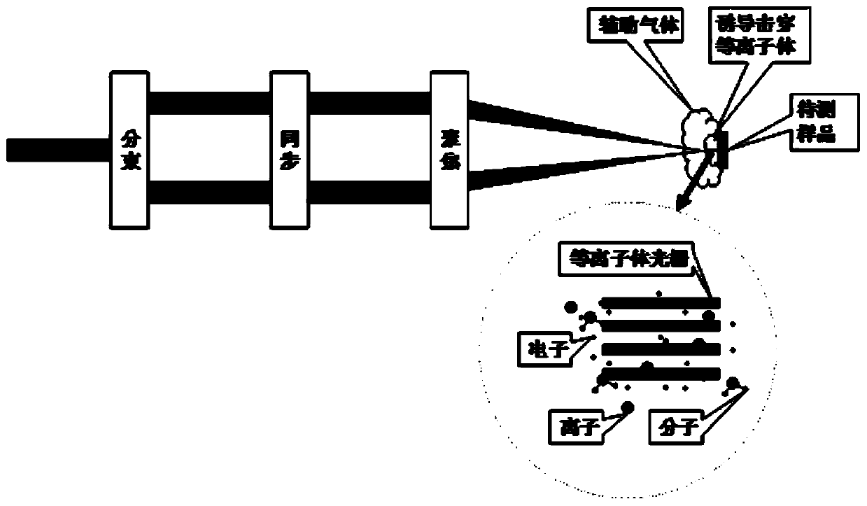 Method and device for detecting femtosecond plasma raster induced breakdown spectra