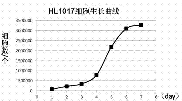 Human well-differentiated liver cancer cell line HL1017 and construction method thereof