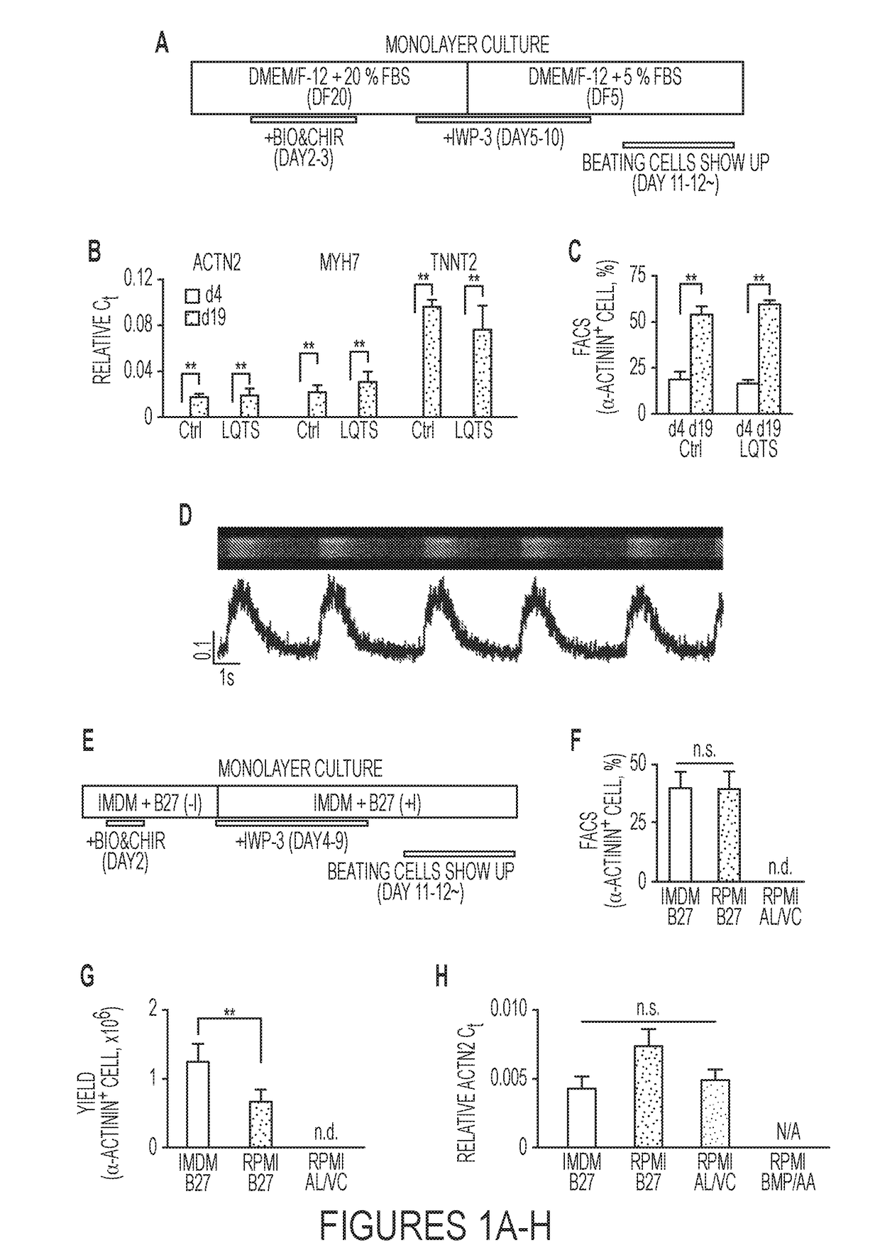 Methods for Cardiac Differentiation of Human Induced Pluripotent Stem Cells