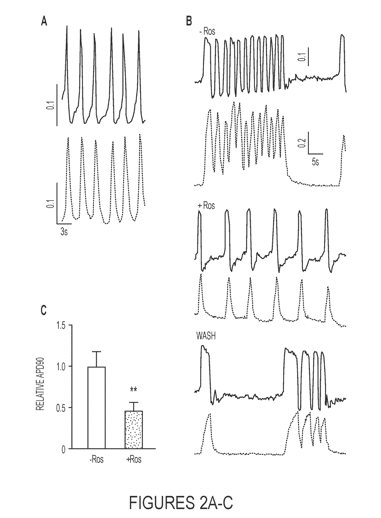 Methods for Cardiac Differentiation of Human Induced Pluripotent Stem Cells