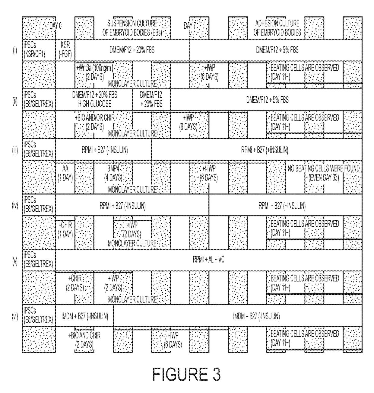 Methods for Cardiac Differentiation of Human Induced Pluripotent Stem Cells