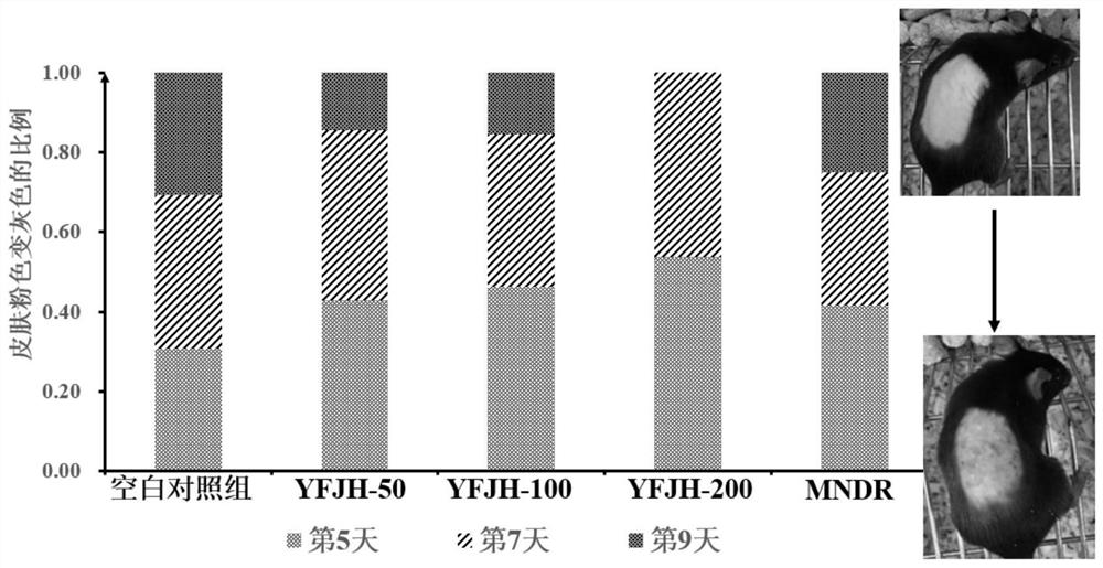 Plant source essence for preventing and treating alopecia and preparation method of plant source essence