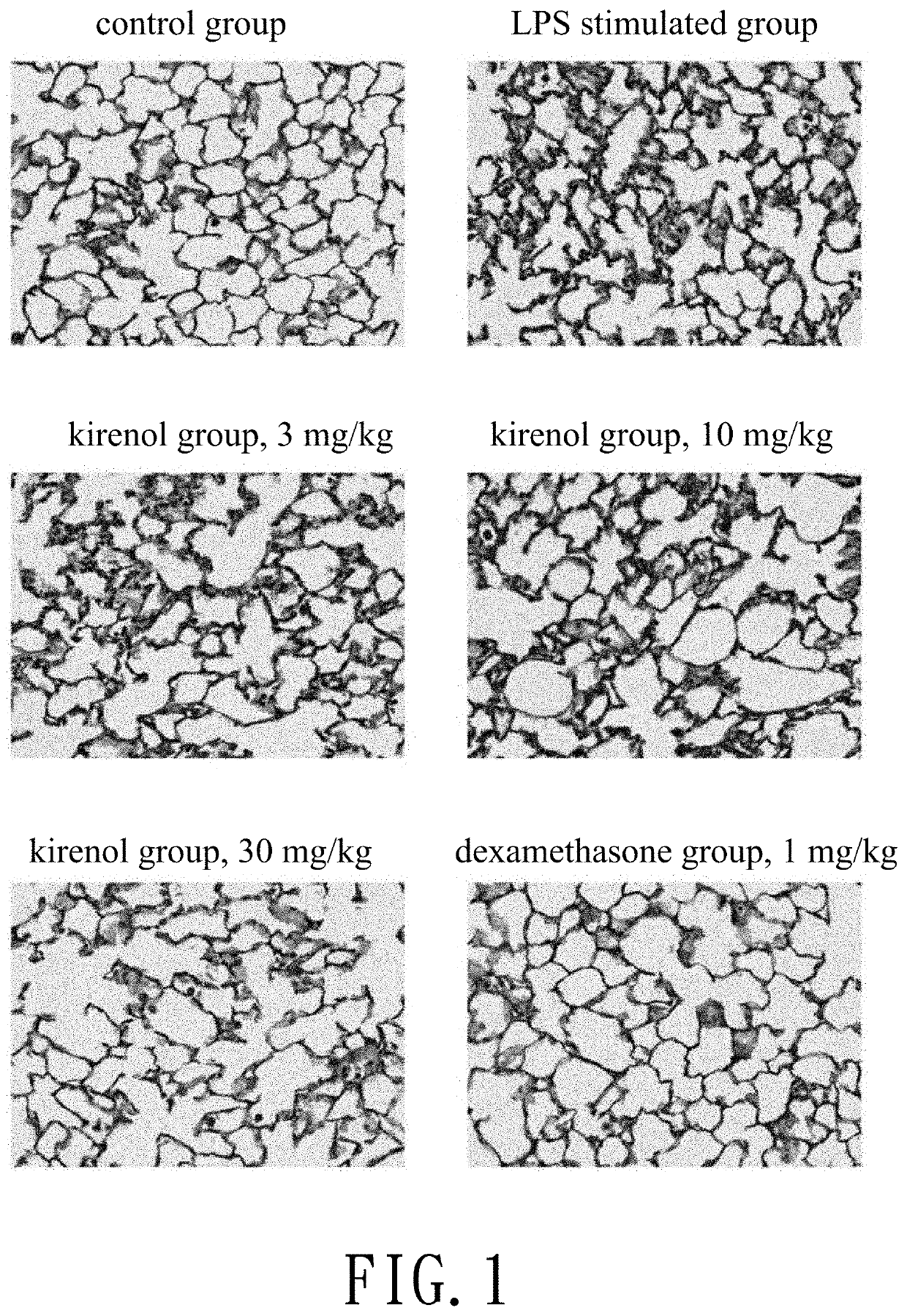 Method for treatment of acute lung injury by use of kirenol