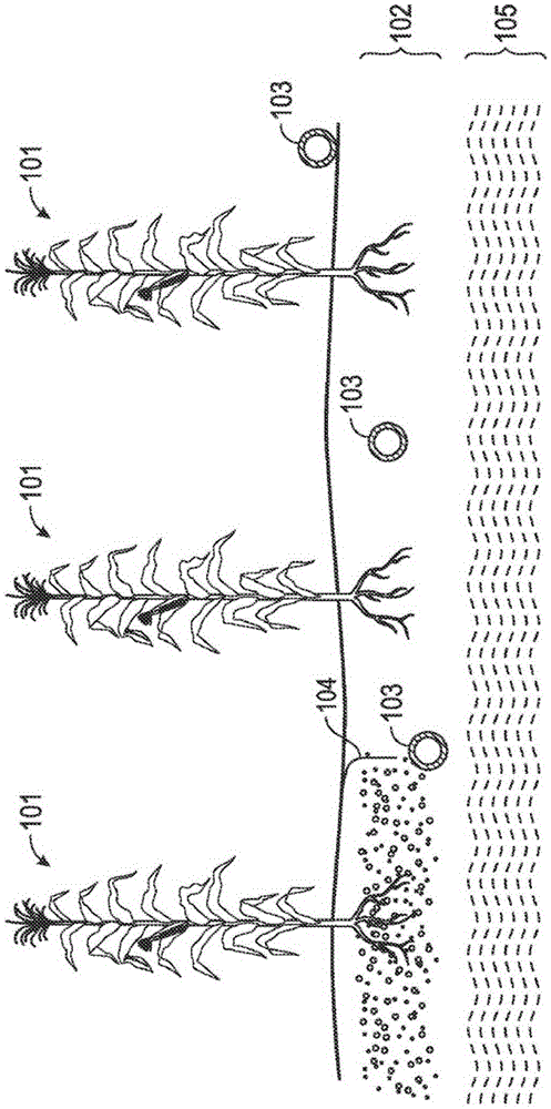 Systems and methods for detecting soil characteristics