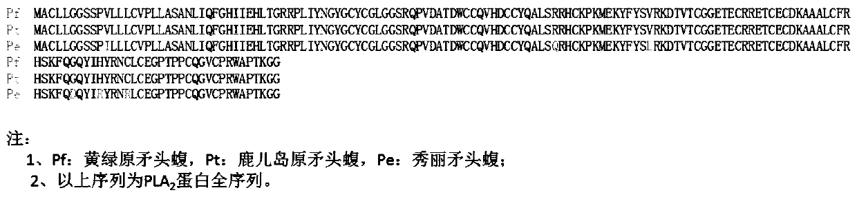 Anti-venomous-snake PLA2 protein antibodies and application thereof