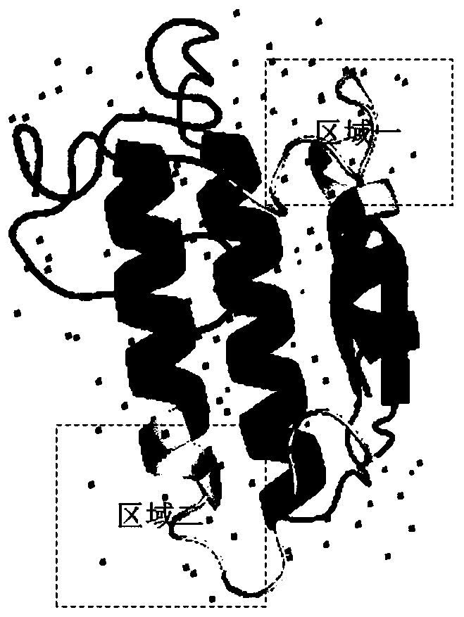 Anti-venomous-snake PLA2 protein antibodies and application thereof