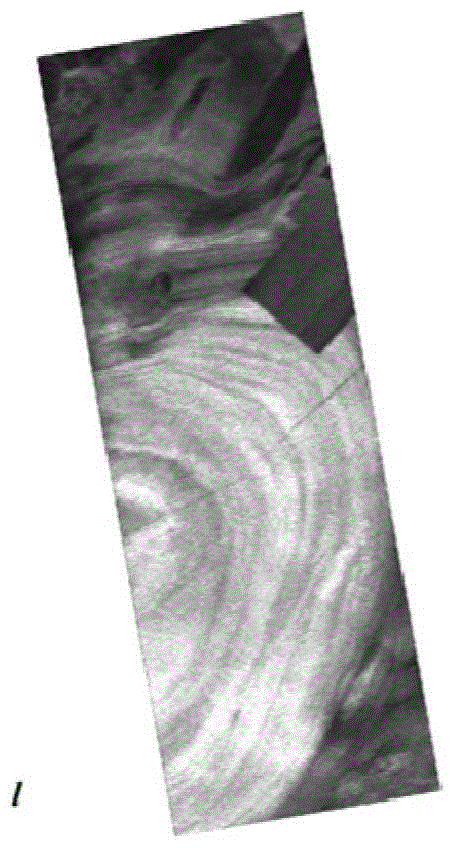 Polarization Radar Inversion Method and Its Application Based on Genetic-Partial Least Squares Algorithm