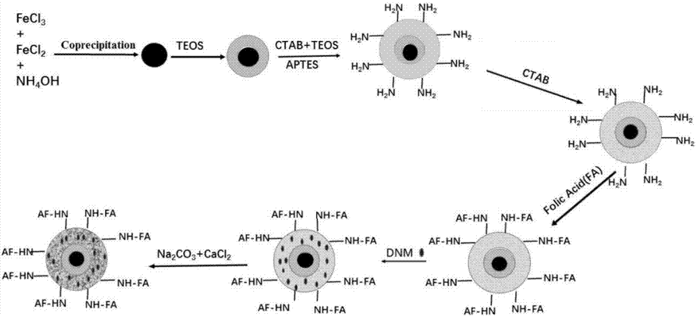 PH (potential of hydrogen) controlled-release targeted medicine nanometer delivery carrier, method for preparing same and application of pH controlled-release targeted medicine nanometer delivery carrier