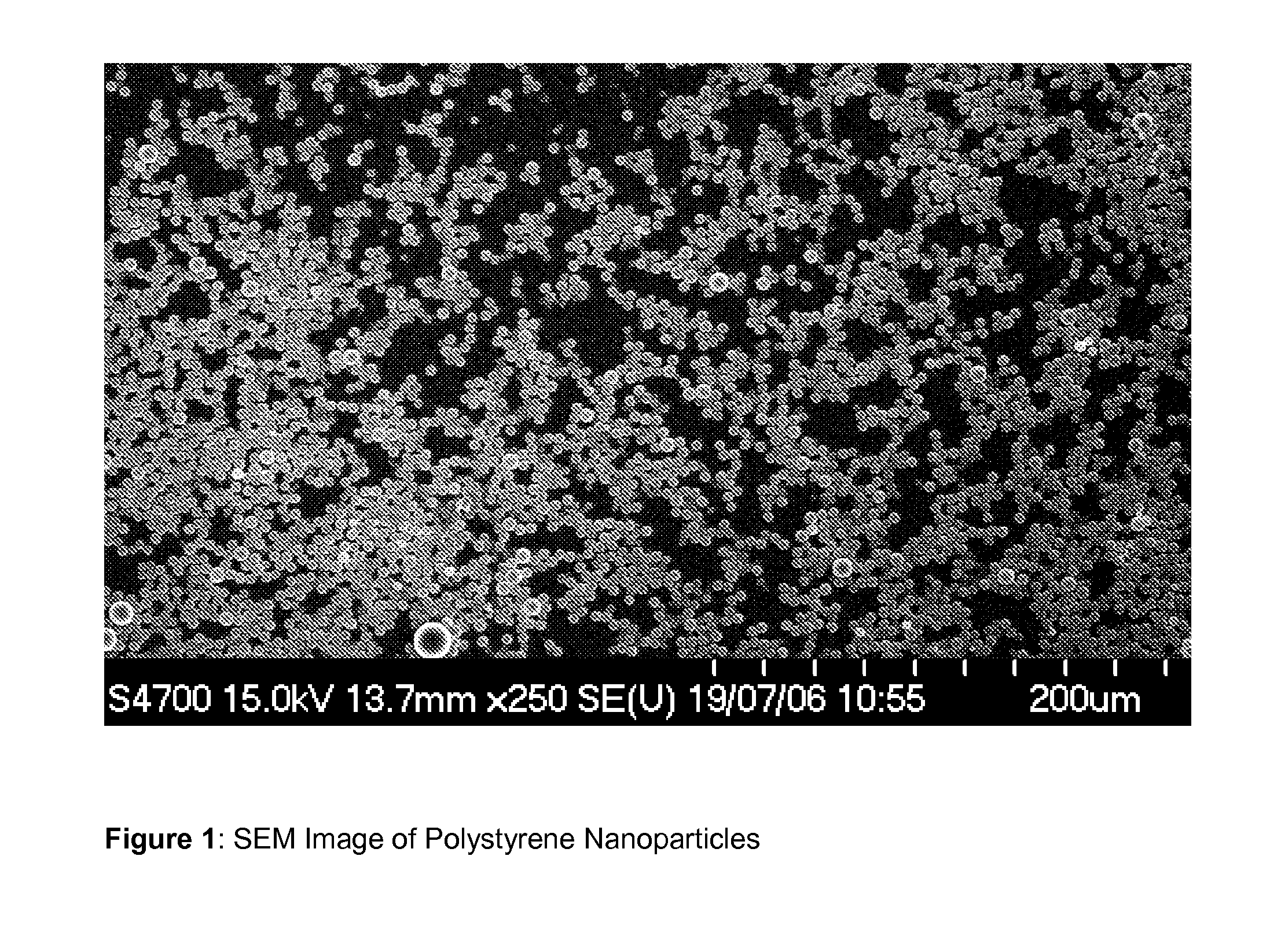 Hollow biodegradable nanospheres and nanoshells for delivery of therapeutic and/or imaging molecules