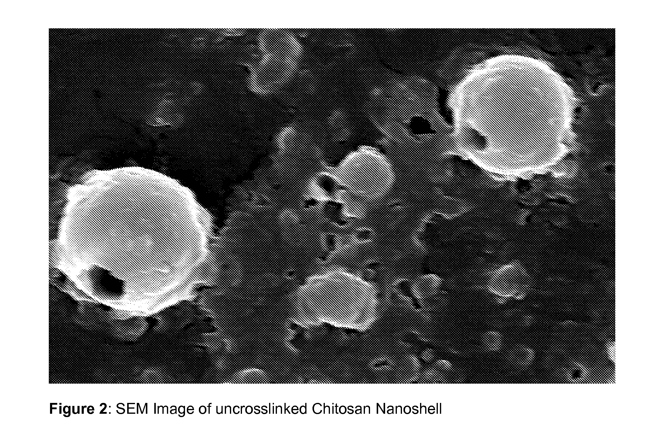 Hollow biodegradable nanospheres and nanoshells for delivery of therapeutic and/or imaging molecules