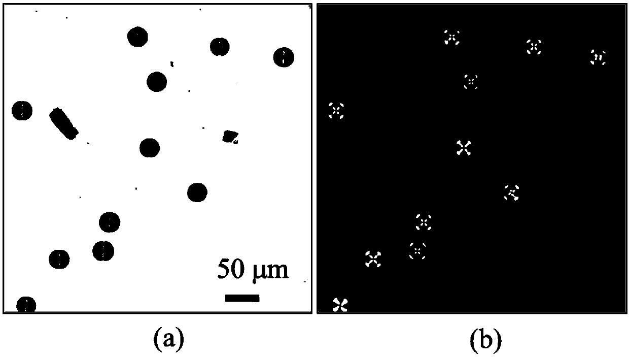 Porous silicon dioxide microspheres as well as preparation method and application thereof