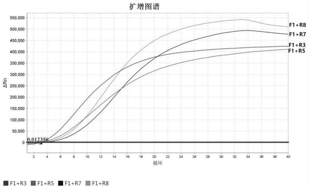 Probe, kit and detection method for rapidly detecting bombyx mori nuclear polyhedrosis virus