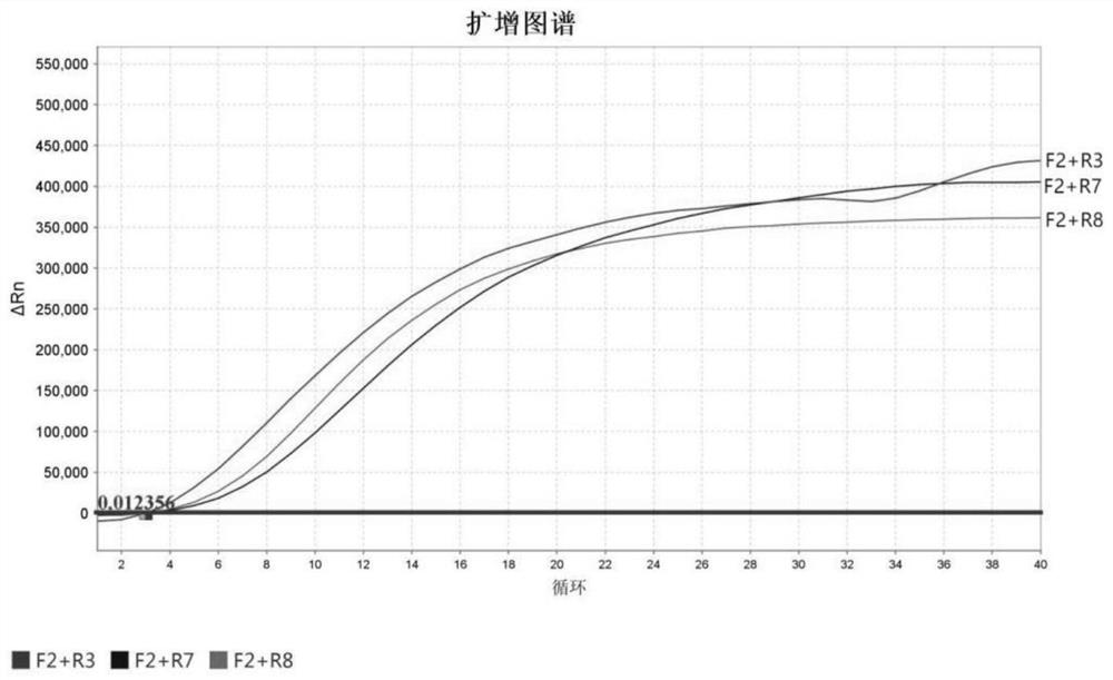 Probe, kit and detection method for rapidly detecting bombyx mori nuclear polyhedrosis virus