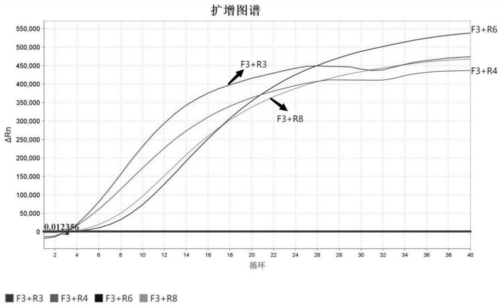 Probe, kit and detection method for rapidly detecting bombyx mori nuclear polyhedrosis virus