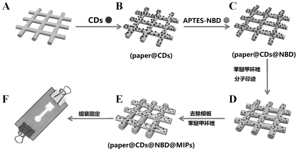 A ratiometric fluorescent molecularly imprinted paper chip and its preparation method and application