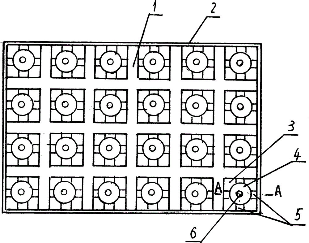 Rice seedling raising carpet type plastic disc