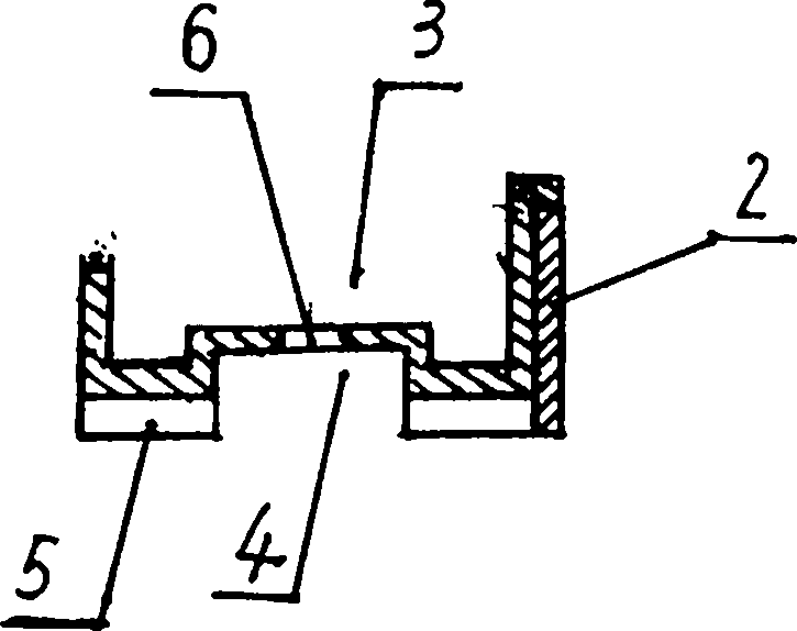 Rice seedling raising carpet type plastic disc