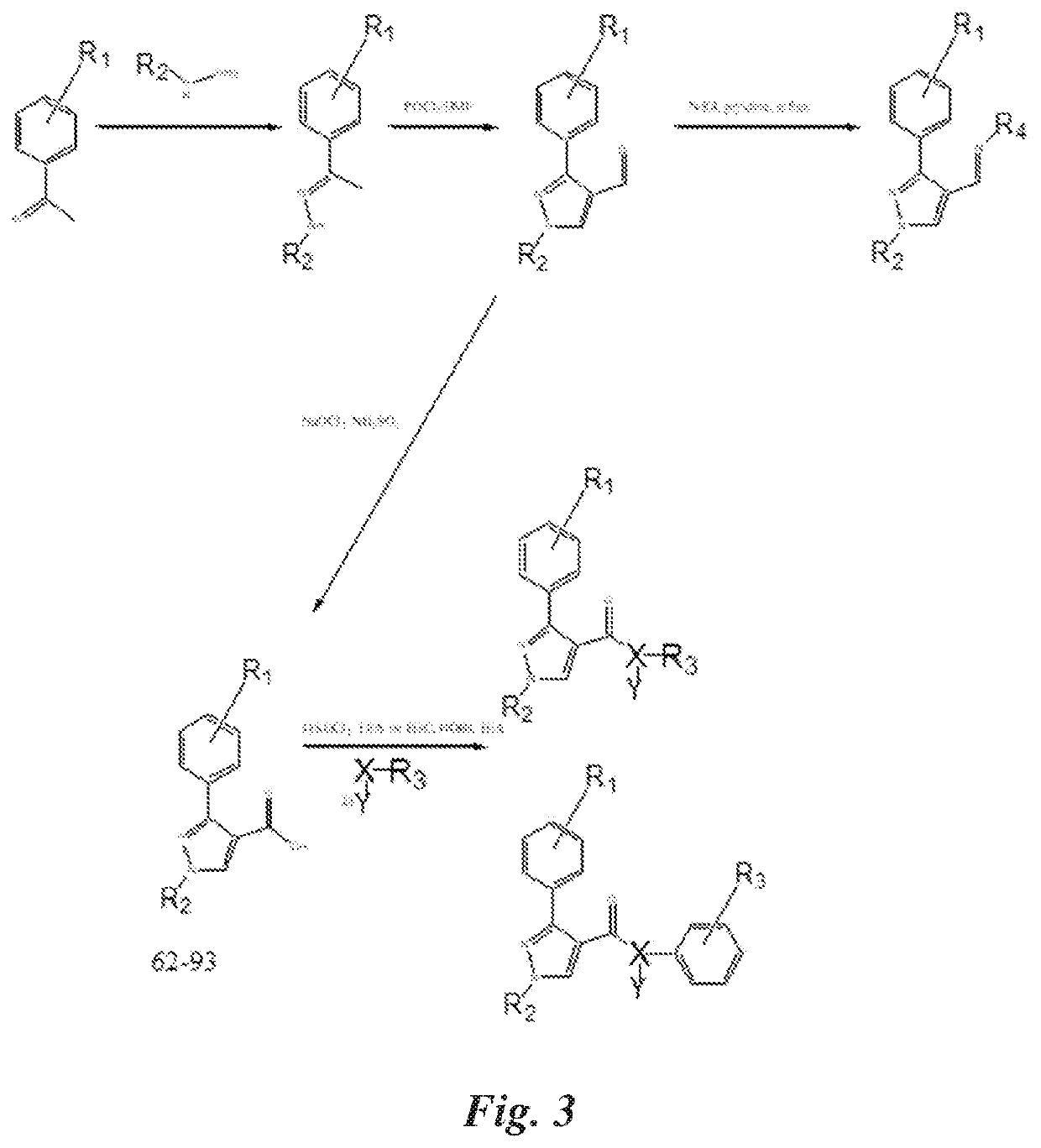 Inhibitor compounds for male contraception