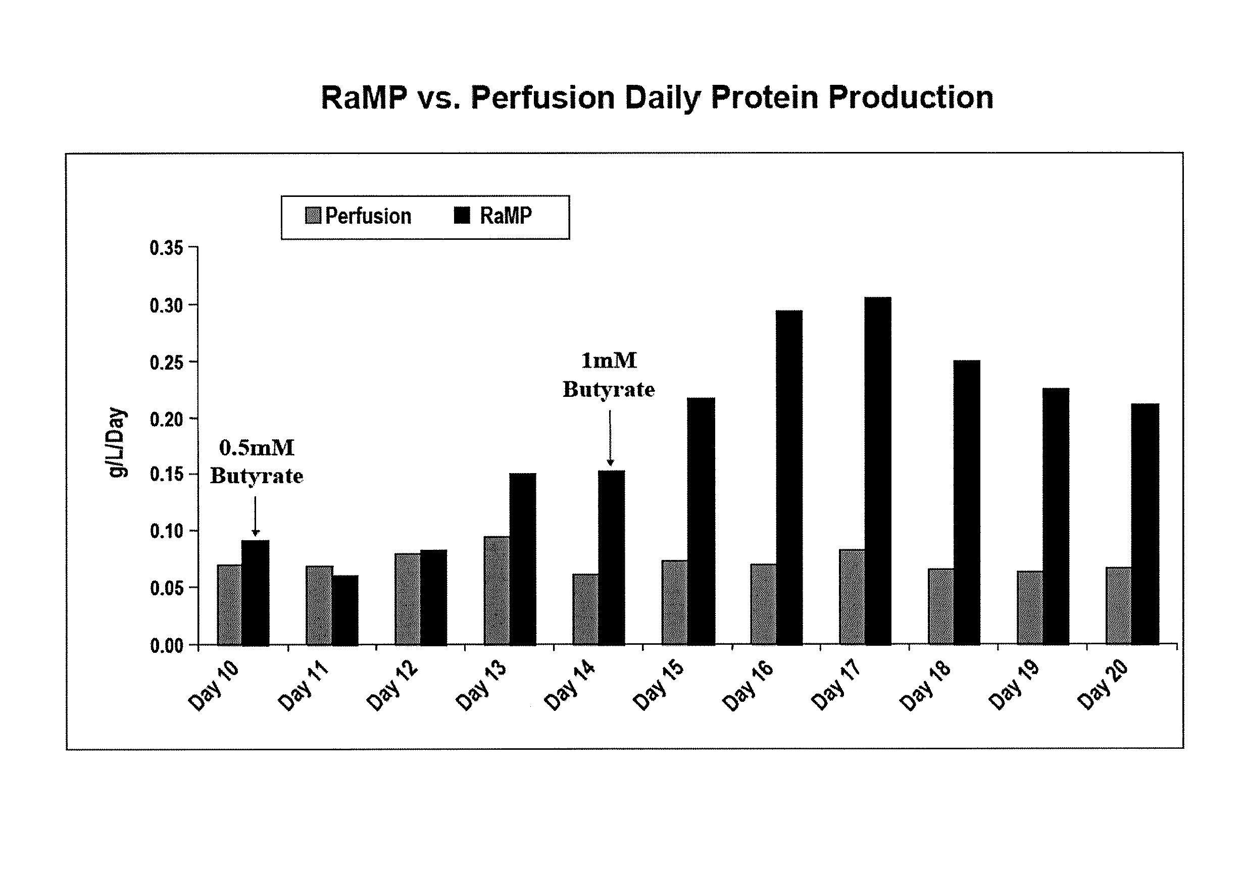 Intensified Perfusion Production Method