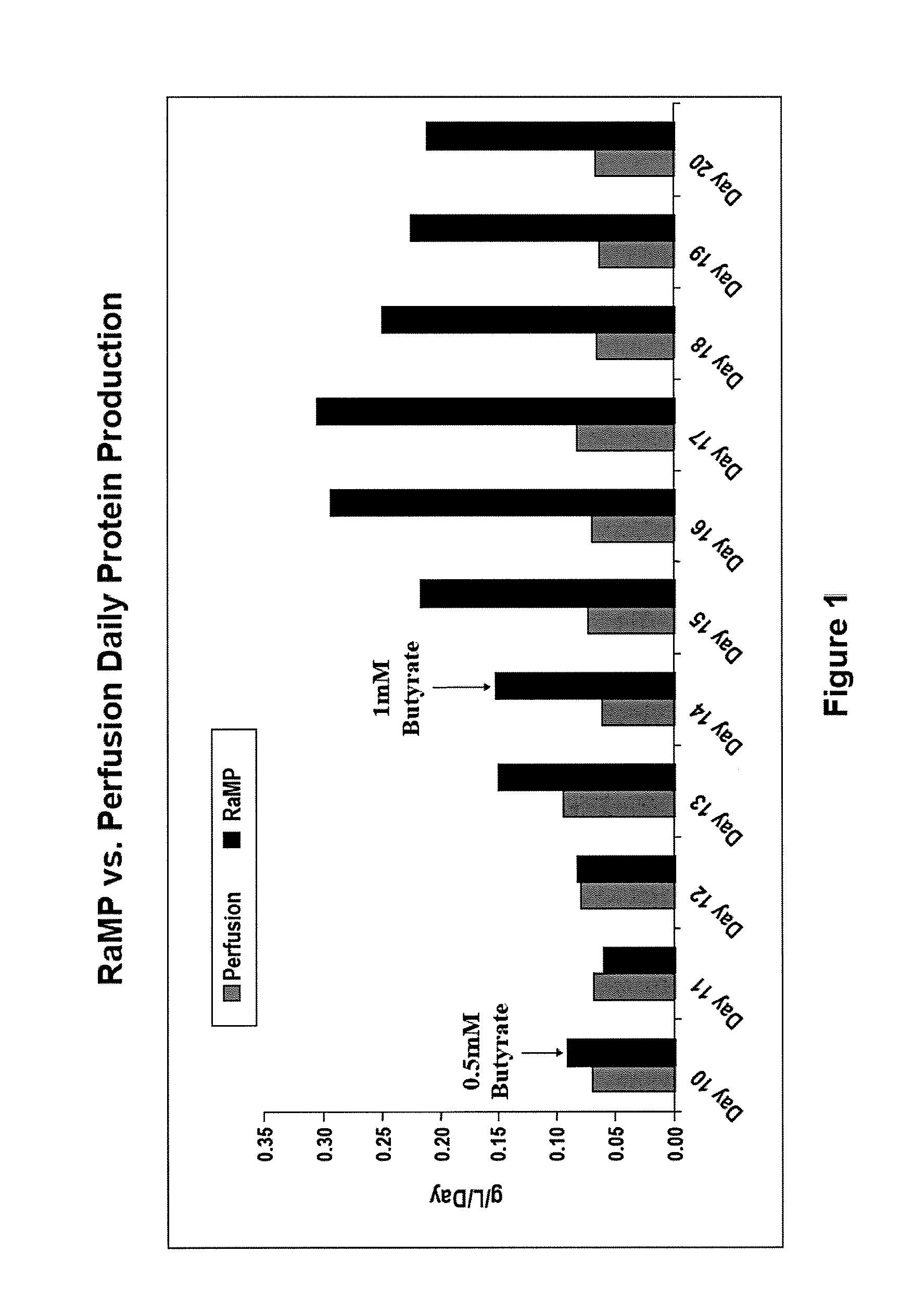 Intensified Perfusion Production Method