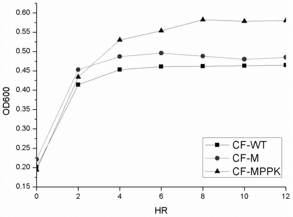 A strain of Citrobacter freundii transgenic for phosphorus accumulation gene and its construction method and application