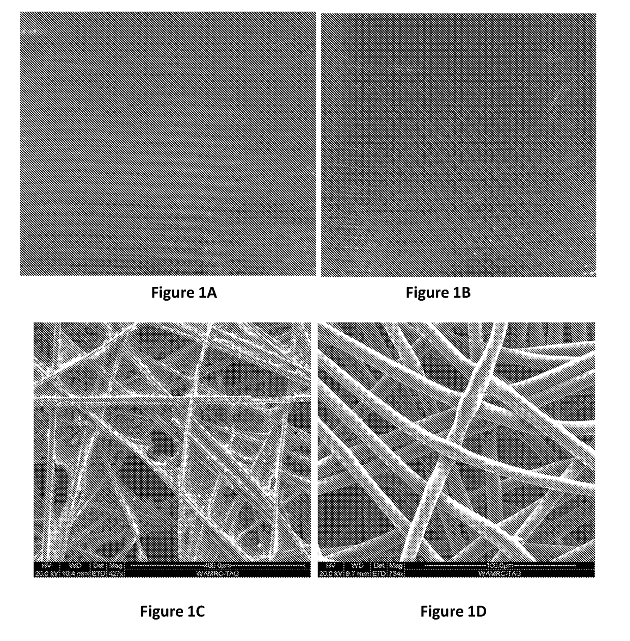 HIGH-CAPACITY SILICON NANOWlRE BASED ANODE FOR LITHIUM-ION BATTERIES