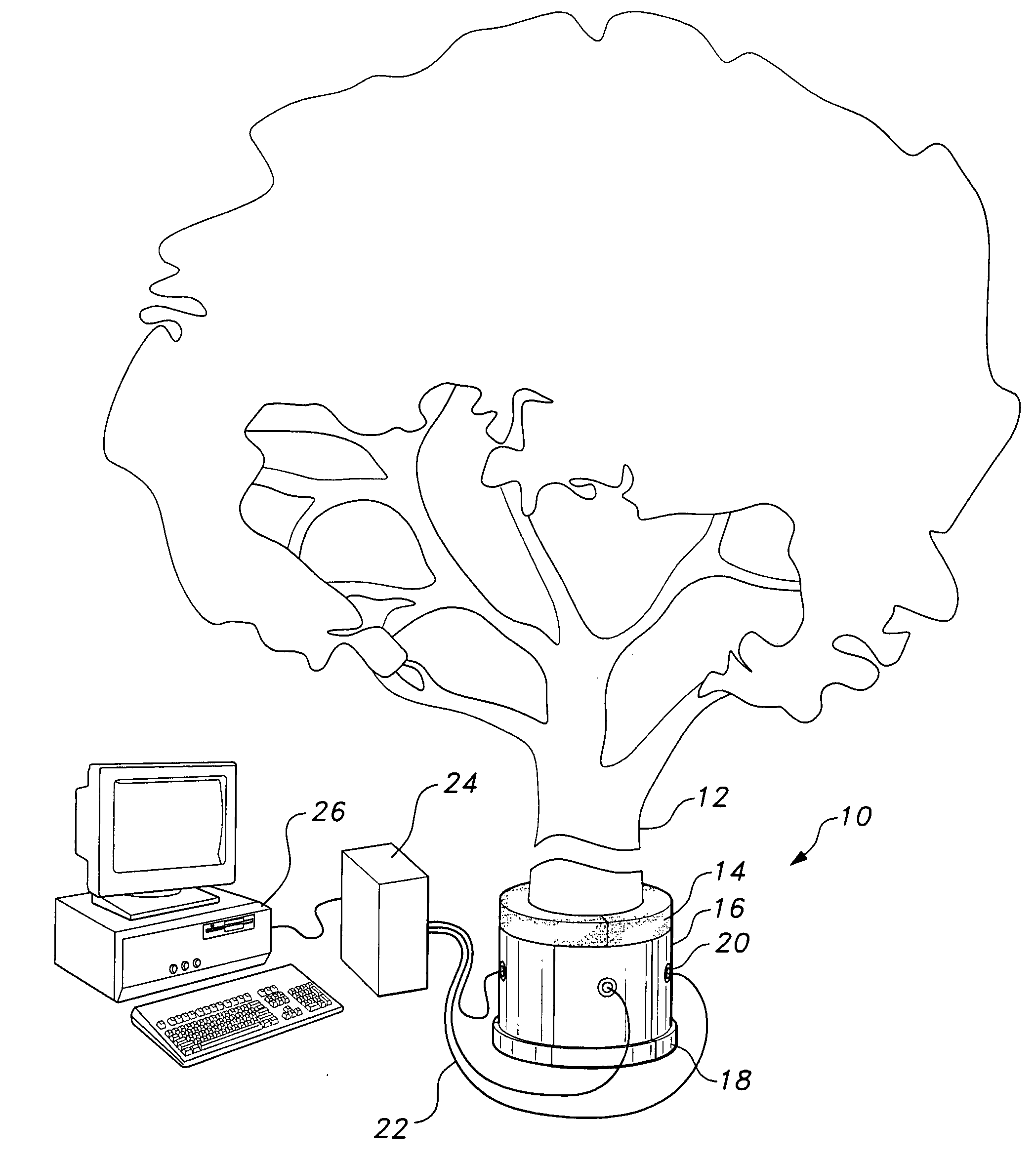 Acoustic chamber for detection of insects