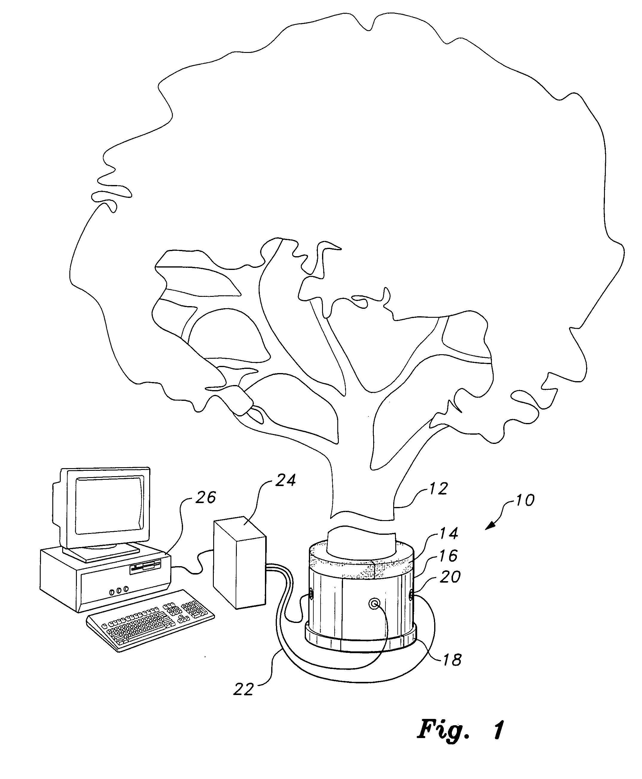 Acoustic chamber for detection of insects