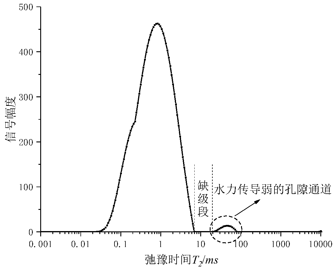 Nuclear magnetic resonance curve-based saturated and unsaturated soil permeability coefficient prediction method