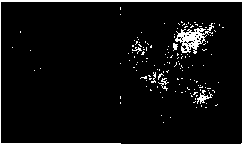 Synthesis method of polysubstituted sulfur-containing or selenium-containing benzo[c,d]indole compounds