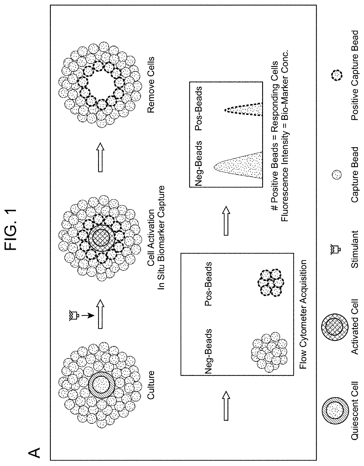 Biomarker detection methods and systems and kits for practicing same