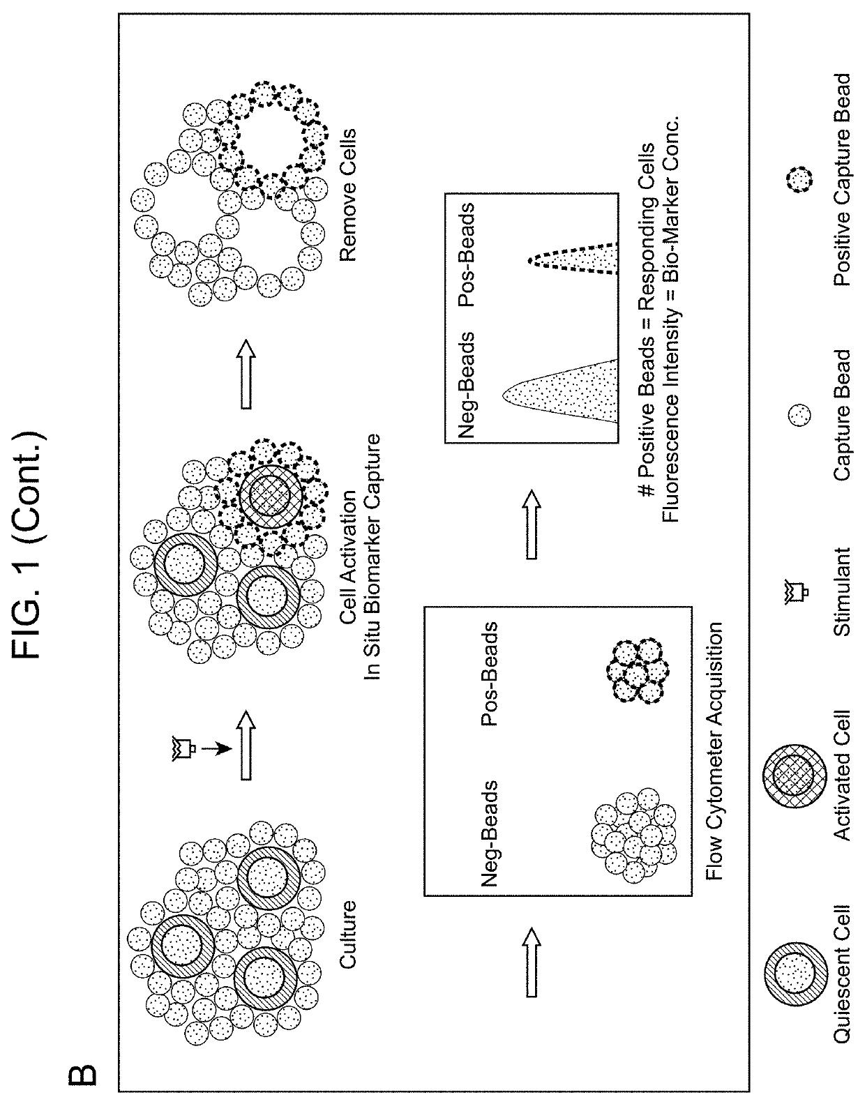 Biomarker detection methods and systems and kits for practicing same