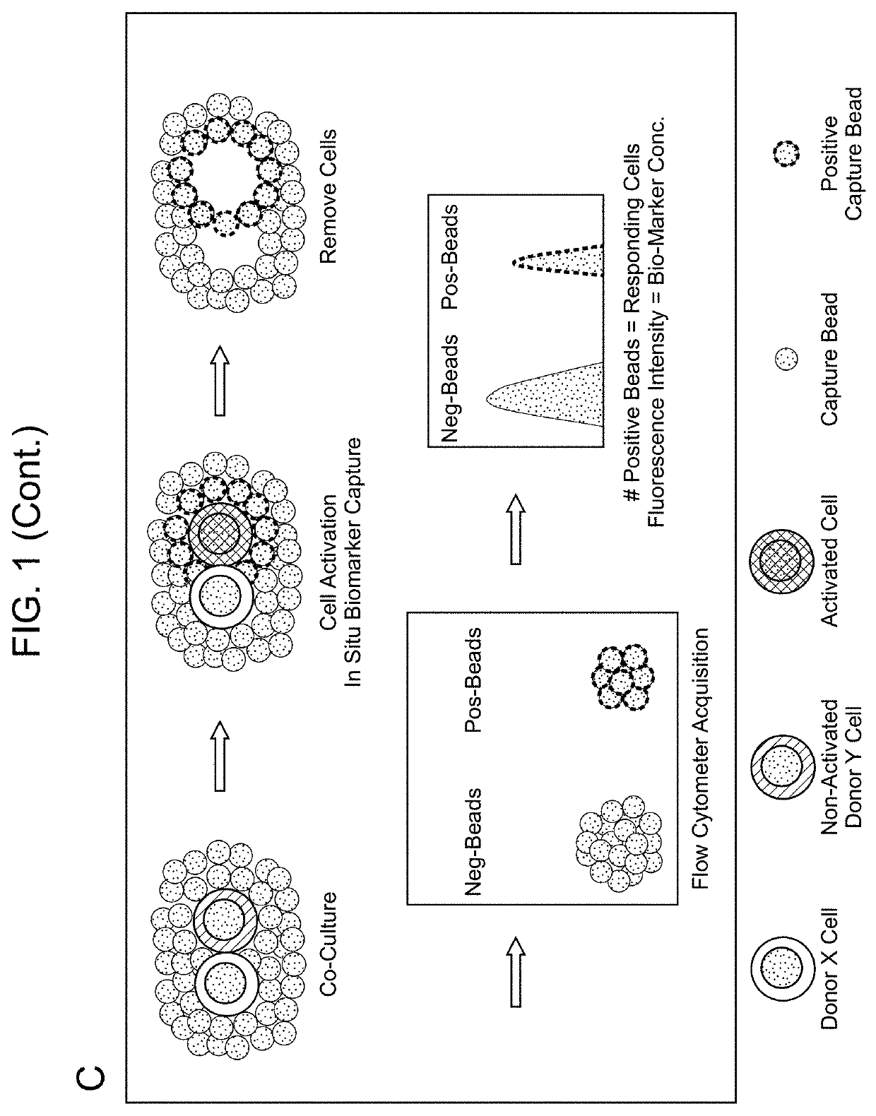 Biomarker detection methods and systems and kits for practicing same