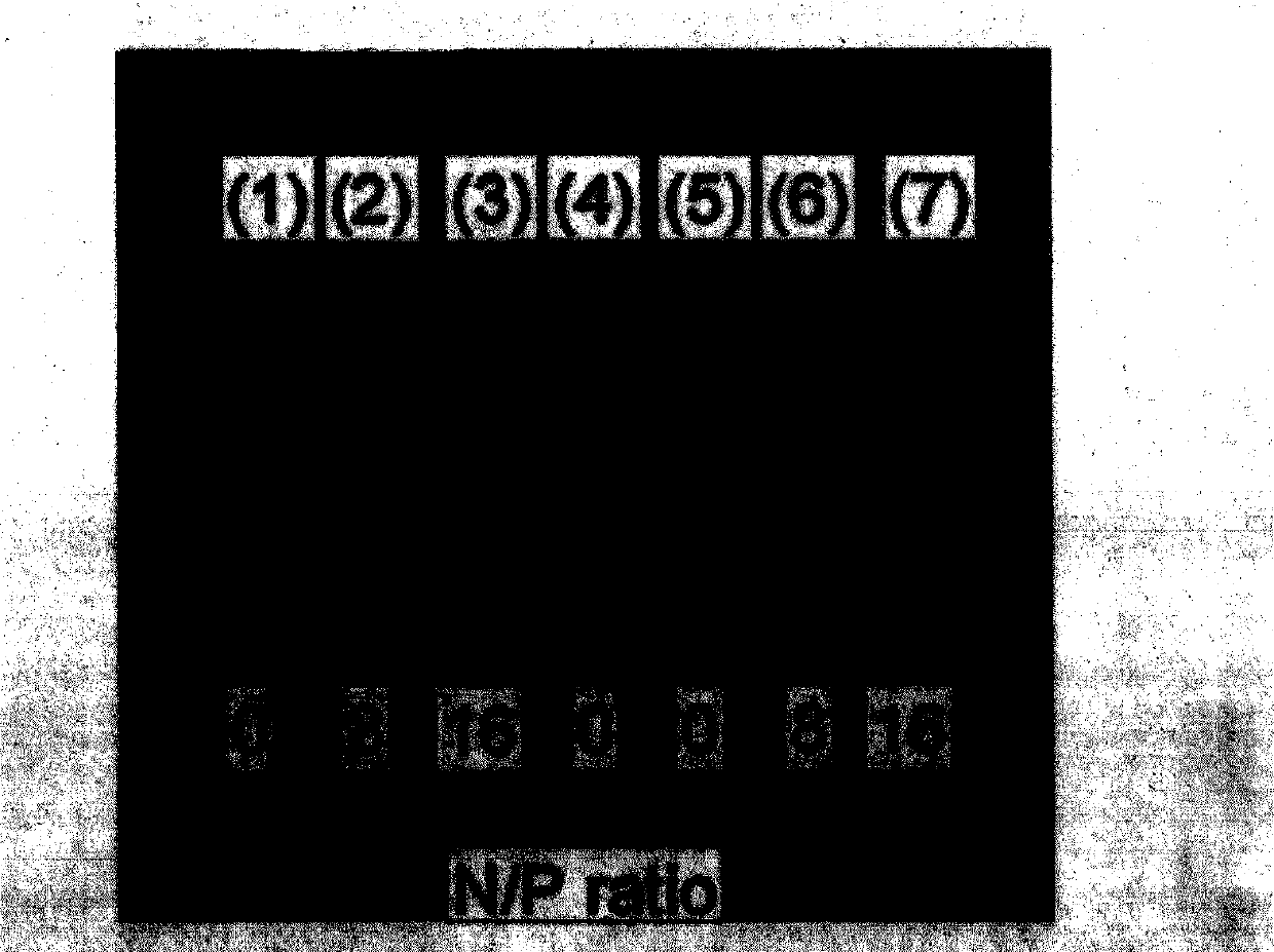 Nano-particles capable of improving gene transfection efficiency and preparation method of gene transfection reagent based on particles