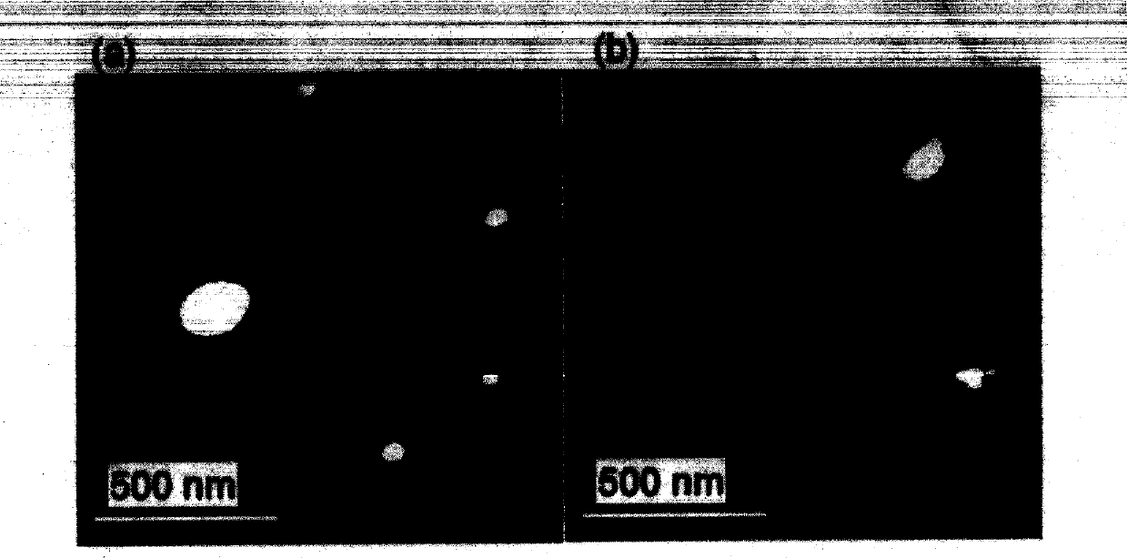 Nano-particles capable of improving gene transfection efficiency and preparation method of gene transfection reagent based on particles