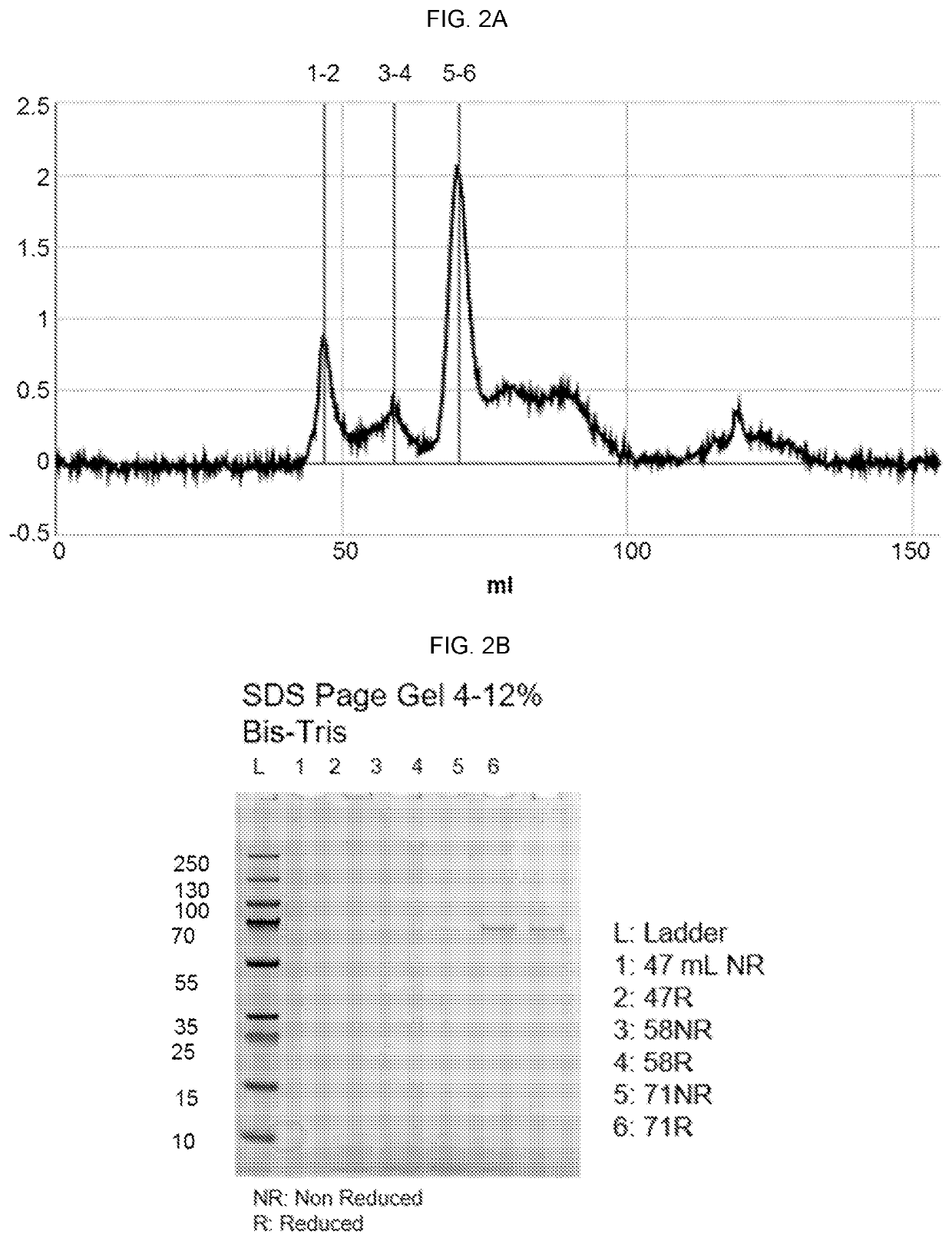 Circumsporozoite proteins with increased expression in mammalian cells