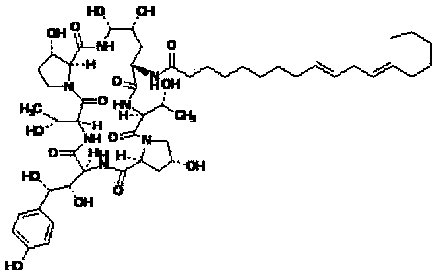 A kind of echinocandin b microbial enzyme conversion method