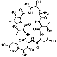 A kind of echinocandin b microbial enzyme conversion method