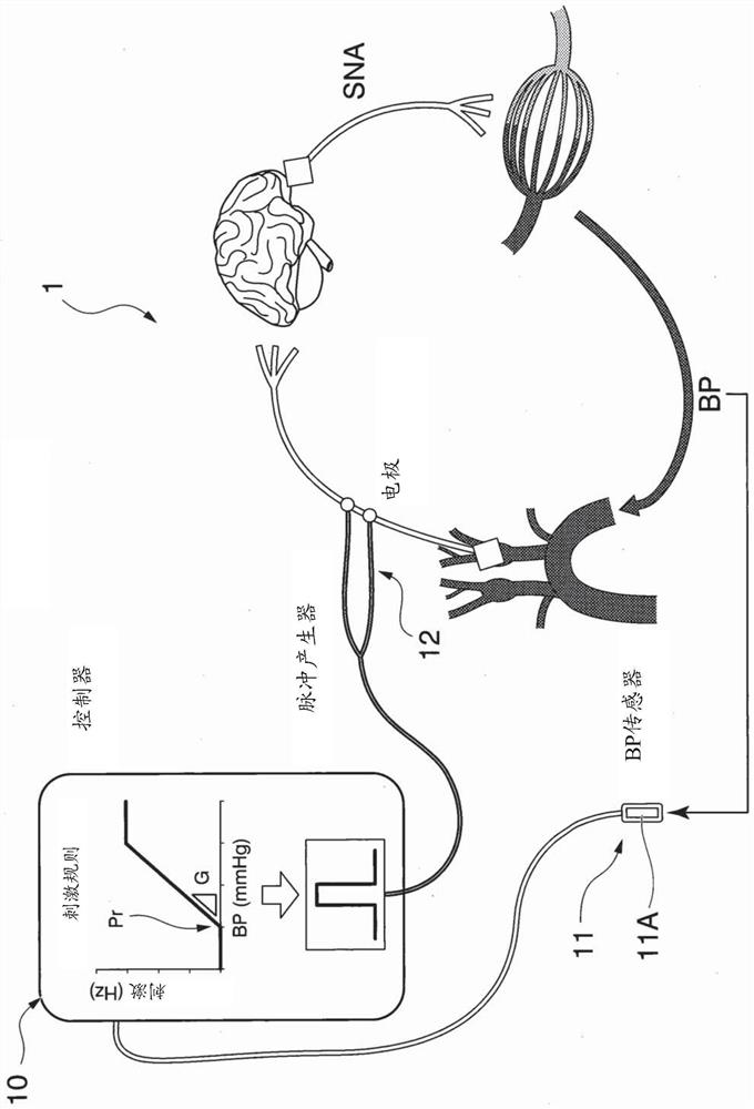 Blood pressure controlling apparatus, non-transitory computer readable recording medium storing control program of blood pressure controlling apparatus, and method for controlling blood pressure